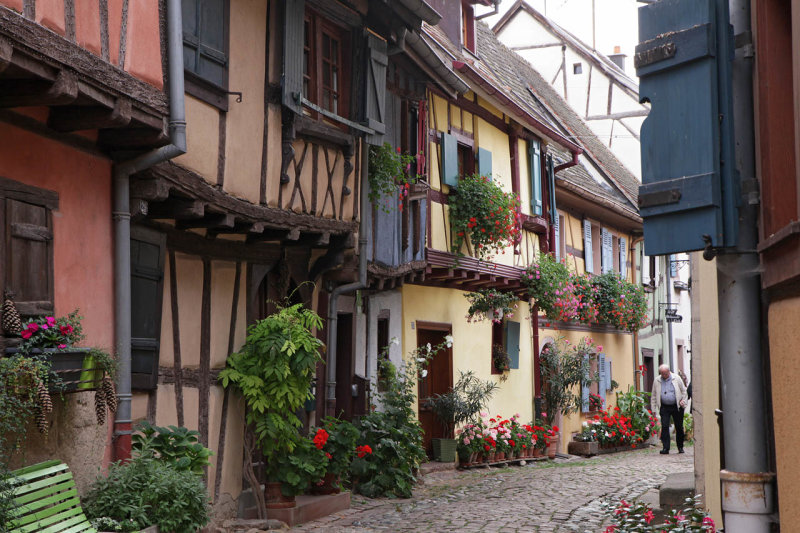 Eguisheim - Wine Village in France