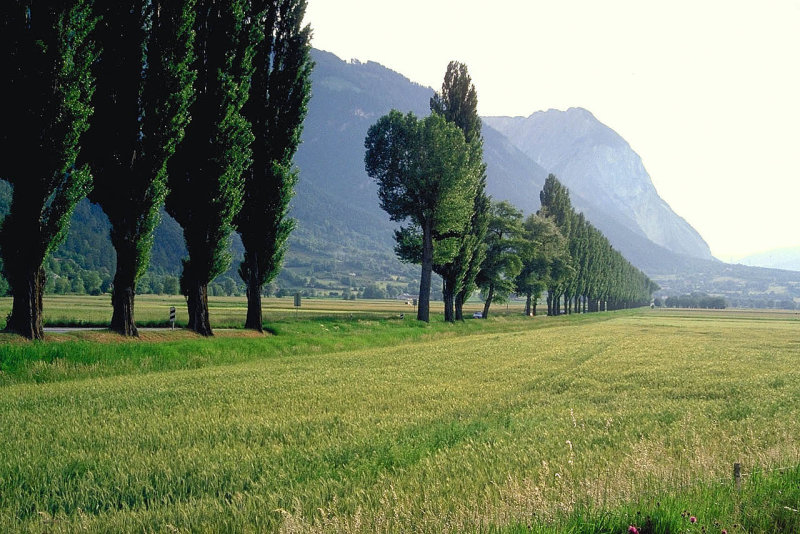 Rhone Valley