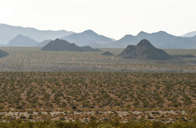 Mojave Desert5