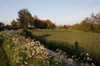 Landscape in The Netherlands