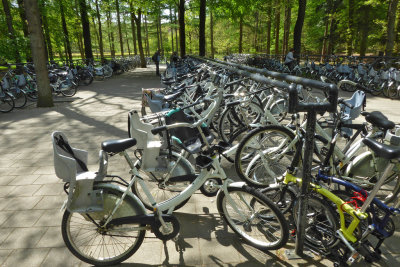 white bikes in De Hoge Veluwe NP