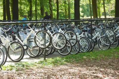 white bikes in Nat.Park