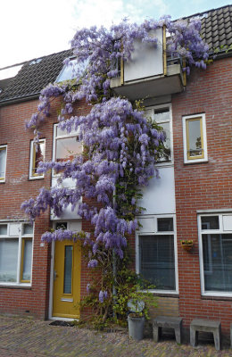 Leeuwarden 43.jpg
