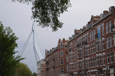Rotterdam37.jpg