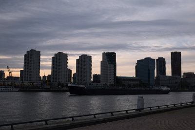 Rotterdam38.jpg