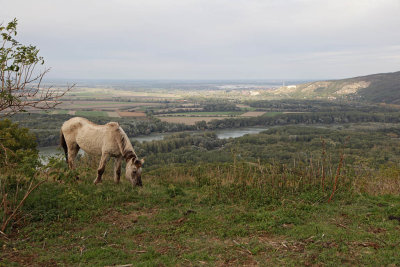 Blick ins Marchfeld