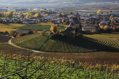 South Tyrol in Autumn