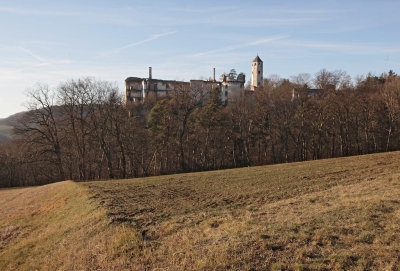 Ruine Hohenegg3