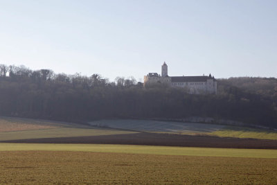 Castle Schallaburg1