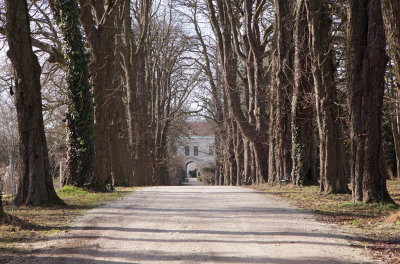 Ollersbach,Castle Baumgarten1