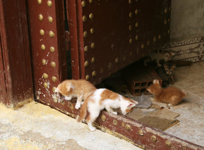 Morocco6.jpg