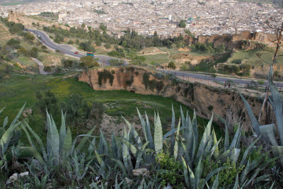 Morocco,Fes