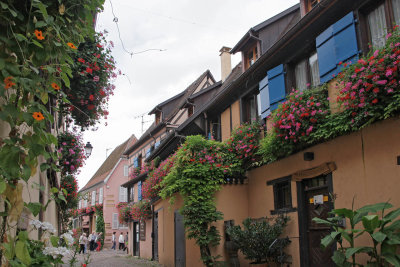 Eguisheim35