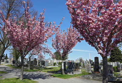 Cemetery Baumgarten through the Seasons