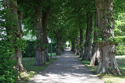 Castle Egeskov2