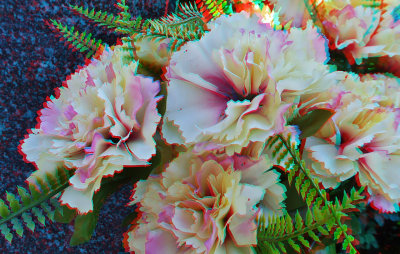 Flowers and Plants in 3D