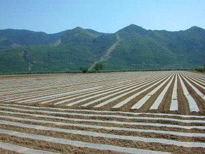 Greece,agriculture