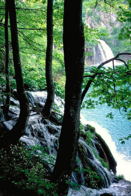 many waterfalls,Lakes of Plitvice