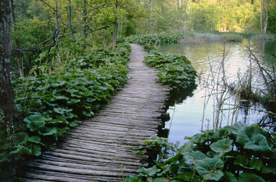 Lakes of Plitvice