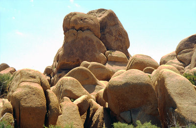 Joshua Tree NP4