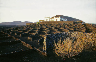 bodega in wine region La Geria