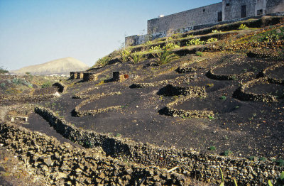 near Mancha Blanca