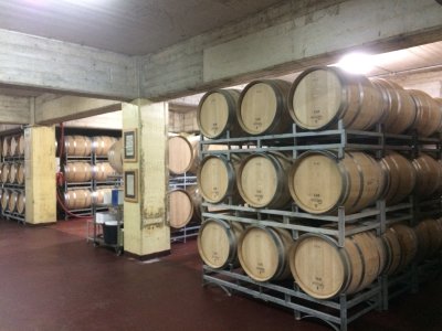 Planta Winery