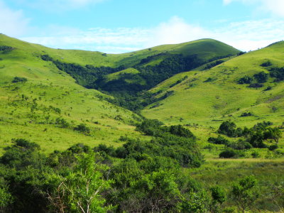 Humala Reserve