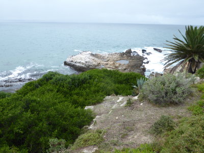 Coastline of Hermanus