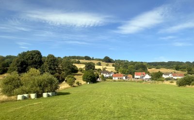 View from the train to Frankfurt