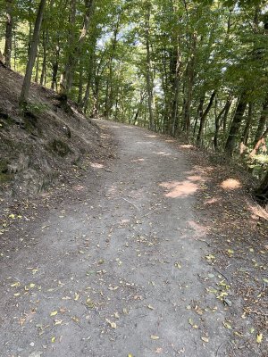 On our way to the Suspension Bridge of Geierlay