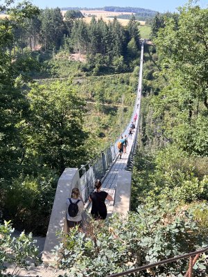 Suspension bridge Geierlay