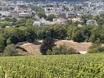 Amphitheater view from Petrisberg-Lookout