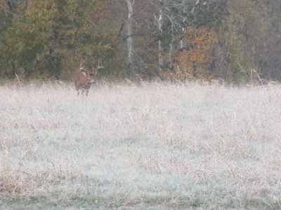 IMG_3282.JPG