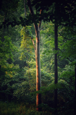 Cuyahoga Valley National Park