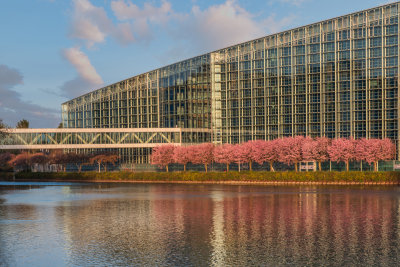 Parlement Europen de Strasbourg