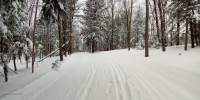 Sentier de skid fond_County skiing trail