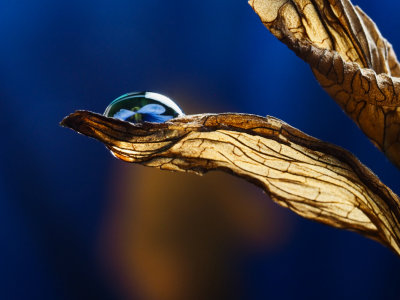 Water drop refraction in blue