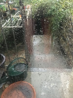 Its getting quite wet
