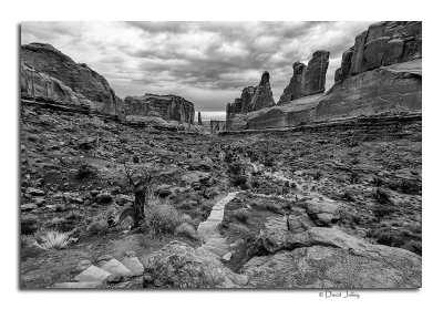 Canyonlands National Park, March 2019