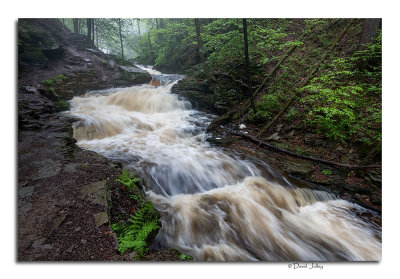 Ricketts Glen