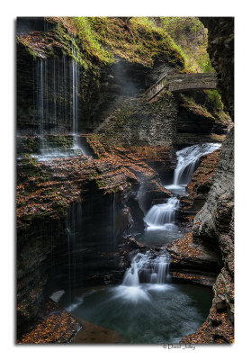 _DSC3837