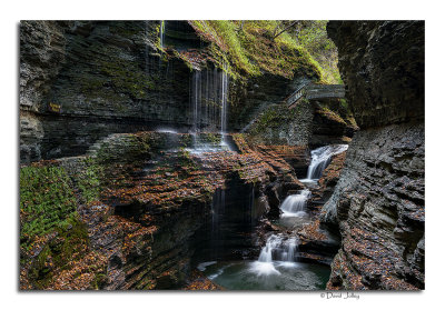 Watkins Glen State Park