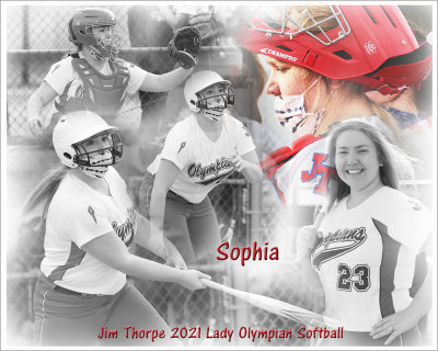 Softball Action Collages