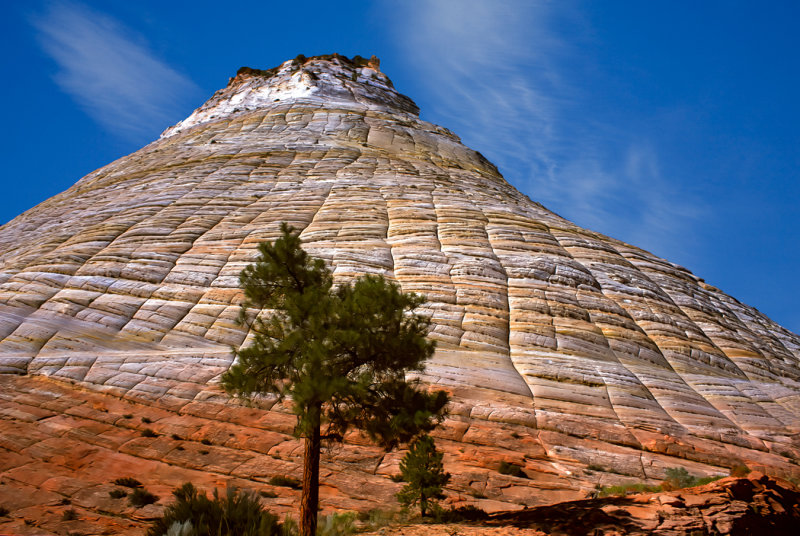 Checkerboard Mesa - Zion NP, Utah732B4390.jpg