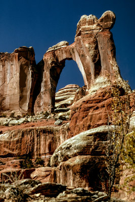 Angel Arch - Canyonlands NP, Utah738B0291.jpg