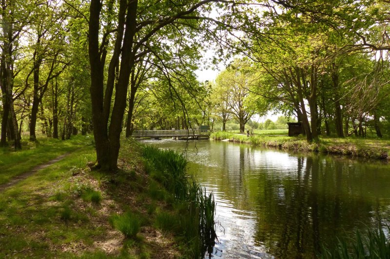 Kanaal van Deurne - Helenaveen