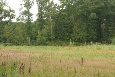 g12/70/1061370/3/169600340.Md9zRuIs.jpg