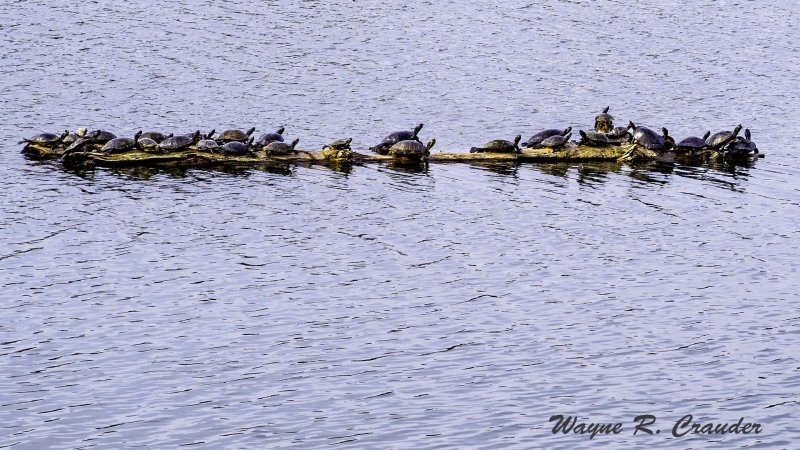 Bernheim_102018_006_copy.jpg