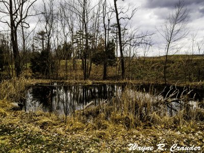 Bernheim_032019_004.jpg